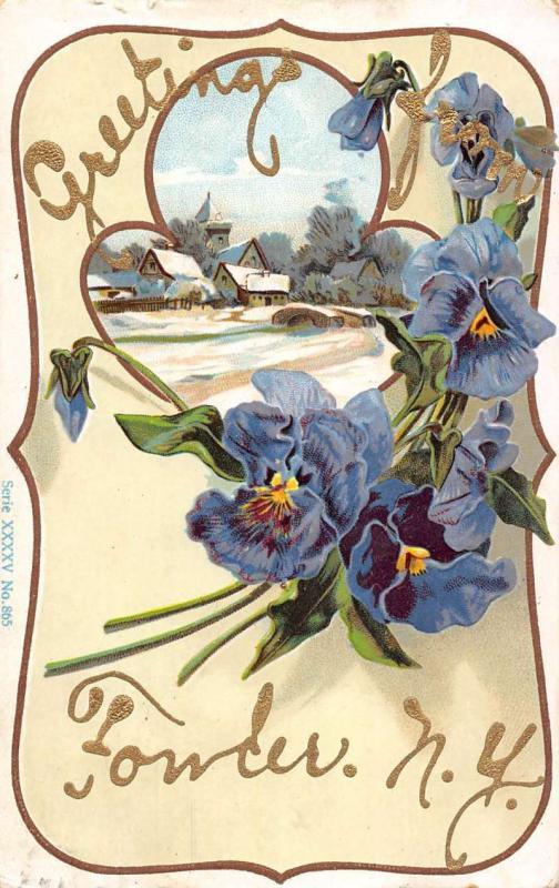 Fowler New York Pansie Flower Snow Scene Greeting Antique Postcard K670987