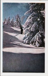 Bulgaria Vitosha In Winter Vintage Postcard C180