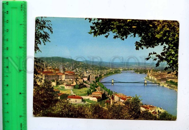241849 HUNGARY BUDAPEST view Old photo postcard