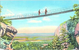 Swing Along Bridge Rock City Garden Lookout Mountain Postcard Standard View Card