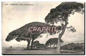 Old Postcard Cannes la Bocca Pins