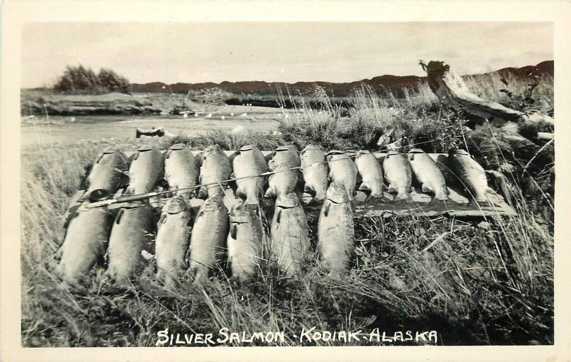 Postcard RPPC Alaska Kodiak Silver Salmon fishing 1980s 23-1069