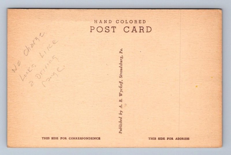 POCONOS PINES CAMP PENNSYLVANIA HAND COLORED POSTCARD (c.1920s)