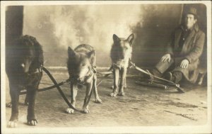 Dog Pulling Sled Team & Man Unusual Studio Pose c1910 Real Photo Postcard