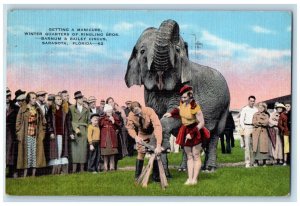 1937 Elephant Getting A Manicure Barnum & Bailey Circus Sarasota FL Postcard