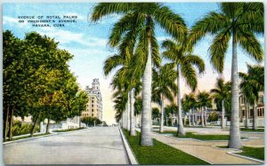 M-9679 Avenue of Royal Palms or President's Avenue Havana Cuba