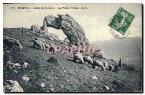 Old Postcard Dauphine line Mure Pierre Percee Shepherd Sheep