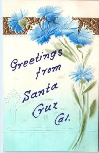 SANTA CRUZ, CA California   GREETINGS FROM  Embossed PFB c1910s  Postcard