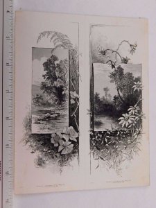 Farmer Livermore & Co Steel-Engraved Trade Card Forest Creek Streams Flowers #C