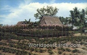 Farm House Rural Area Singapore Postcard