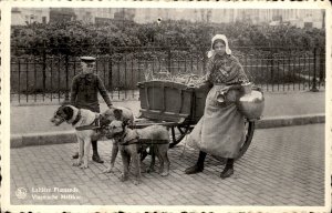 Belgium Flemish Milk Maid Milk Cart Harnessed Dogs c1930-50s Vintage Postcard