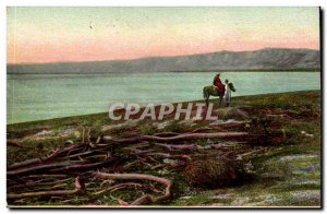 Israel - The Dead Sea - Dead Sea - Todes Meer - Horse - Horse - Old Postcard