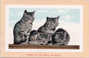 Four Cats 'We're On The Fence As Usual' Cat Unused Postcard H52