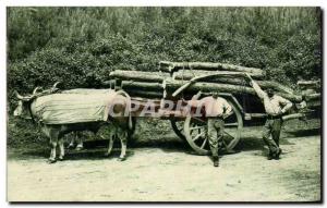 Postcard Old type hitch Basque Folklore oxen