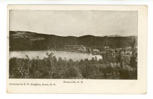 NH - Munsonville. Bird's Eye View circa 1900