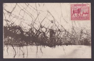 Postcard, BELGIAN CONGO, Liana bridge over the Ituri rapids