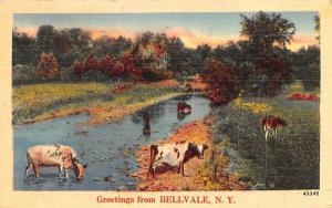 Greetings from Bellvale, New York  