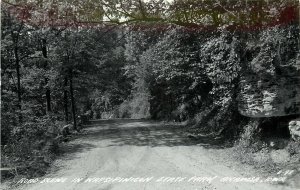 RPPC Postcard; Unpaved Road in Wapsinicon State Park, Anamosa IA LL Cook E-98