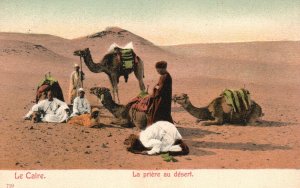 Vintage Postcard Le Caire La Priere Au Desert Men Resting On Desert With Camels