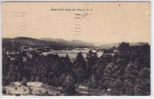 Bird's-eye View, Wells NY