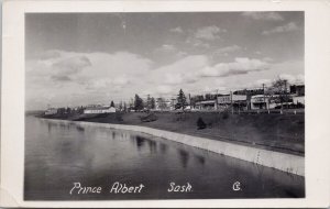 Prince Albert SK Lund Wild Life Exhibit Empress Hotel RPPC Postcard H58 *as is