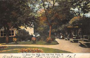 Peoria Illinois Glen Oak Park Grape Vine Walk Antique Postcard K101842