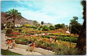 VINTAGE POSTCARD GROUNDS OF THE CAMELBACK INN NEAR PHOENIX ARIZONA 1960s