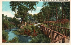 Vintage Postcard 1920's View of Park at Blue Hole Castalia Ohio OH