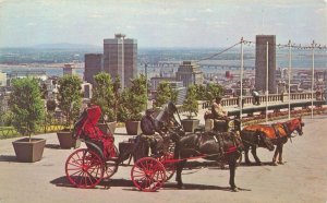 Montreal PQ Canada Old French Horsedrawn Carriages on Mt Royal Postcard Unused