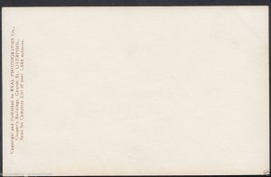 Military Aviation Postcard - U.S Navy Aeroplane - Curtiss Helldiver -  MB520
