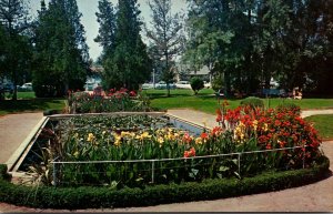 California Fullerton Amerige Park Lily Pond and Reflection Pool