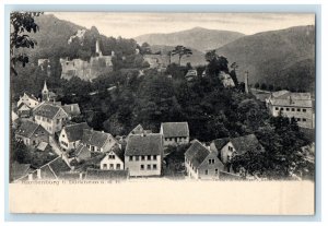 c1910 Aerial View, Hardenburg (Bad Dürkheim) Germany Unposted Postcard