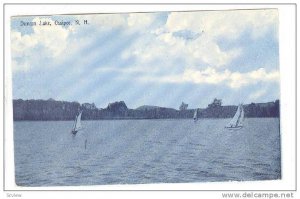 Duncan Lake, Ossipee, New Hampshire, 00-10s