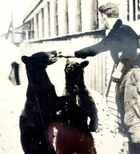 RPPC Black Bears Mt Rainer National Park Washington 1920s Ellis Animals PCBG6F