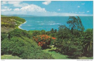 BB11 East Coast Scene, Barbados, West Indies, 1950-1960s
