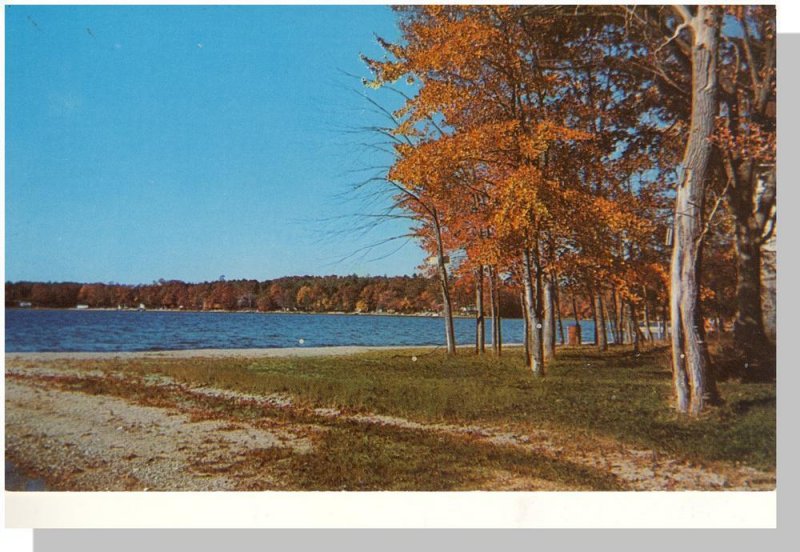 Dayville, Connecticut/CT Postcard, Alexander Lake Resort Area