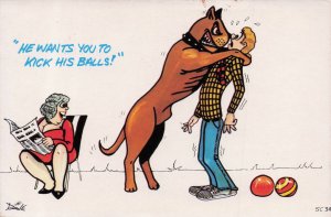 Giant Guard Dog Hugging Old Lady Guest 1970s Comic Postcard