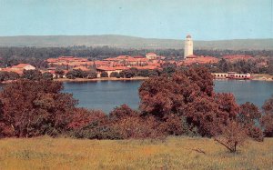 Palo Alto, CA California  STANFORD UNIVERSITY Campus Across Lake~Farm  Postcard