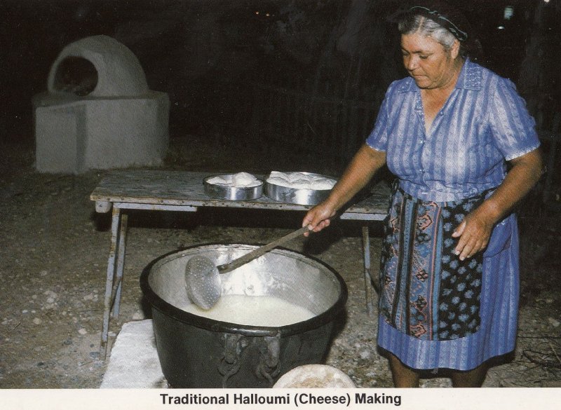 Cheese Making In Cyprus Halloumi Postcard