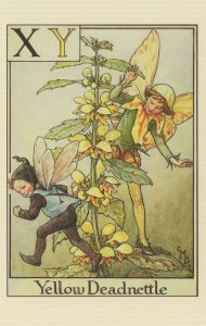 Yellow Deadnettle Fairy Of Vintage Book Flower Fairies Postcard