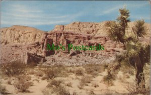 America Postcard - Red Rock Canyon, Nr Mojave, U.S Highway 6 RS31729