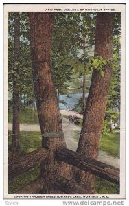 Looking through trees towards lake, Montreat, North Carolina, PU-1922