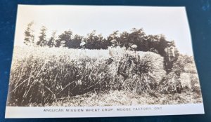 Vintage Canadian RPPC Picking Anglican Mission Wheat Moose Factory $5RPPC