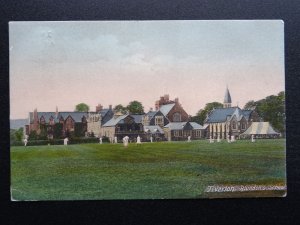 Devon TIVERTON Blundell's School Cricket Match c1905 Postcard by Frith