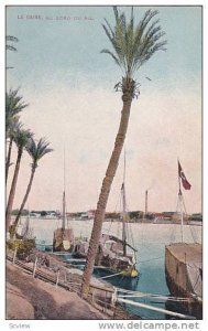 Sailboats, Au Bord Du Nil, Le Caire, Egypt, Africa, PU-1927