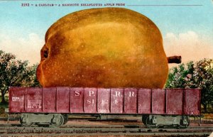 C.1920 Exaggerated Bellflower Apple On Train Car Postcard P186