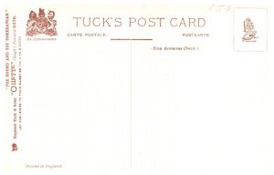 Dog ,Fox Hound and Toy Pomeranian