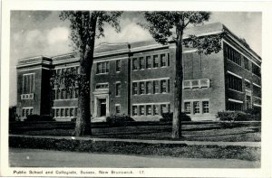 Postcard New Brunswick Sussex Public School & Collegiate ~1910 K28