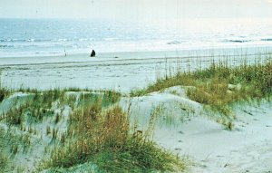 OUTER BANKS OF NORTH CAROLINA~BEACHES-UNLIMITED OCEAN FISHING-POSTCARD