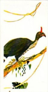 Brooke Bond Tea Trade Card Vanishing Wildlife No 30 Horned Guan